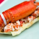 Lobster Roll Legends: Discover the Best Bites by the Bay